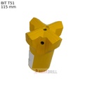 BIT T51 Ø115 mm Cara22 Dis12 Btn24151 7+8