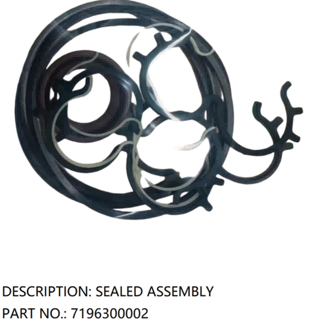 [5104-7196300002] ROARDRILL TR45 — sealed assembly — 7196300002